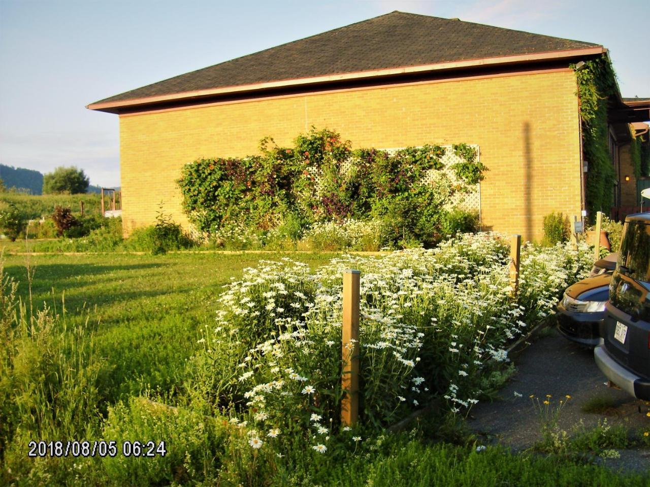 Auberge Internationale La Vieille École Sainte Anne-des-Chênes Esterno foto