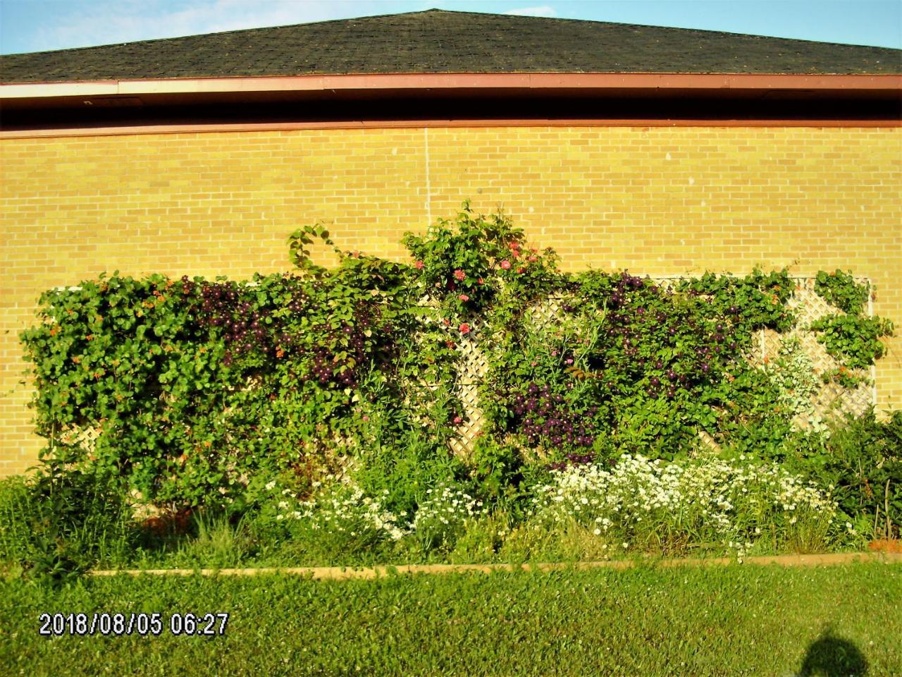 Auberge Internationale La Vieille École Sainte Anne-des-Chênes Esterno foto